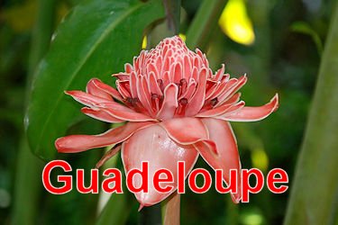 Guadeloupe